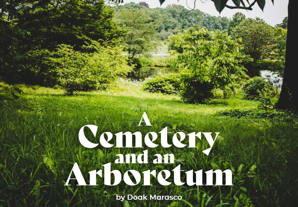 A Cemetery and an Arboretum